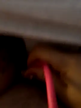 -Tara-a live cam preview