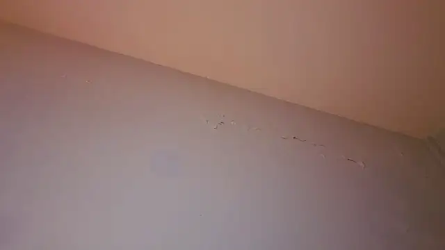 phranof_ webcam