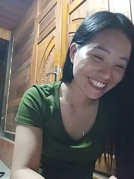 Td3di webcam