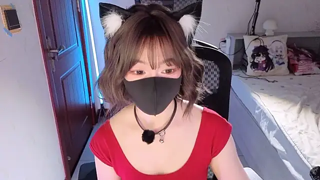 nide-kki webcam