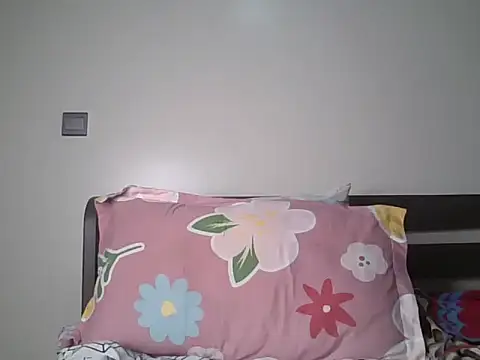 Alevic_ webcam