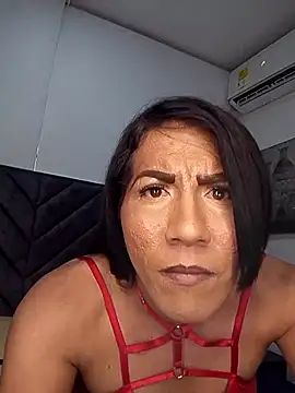 lapitti webcam