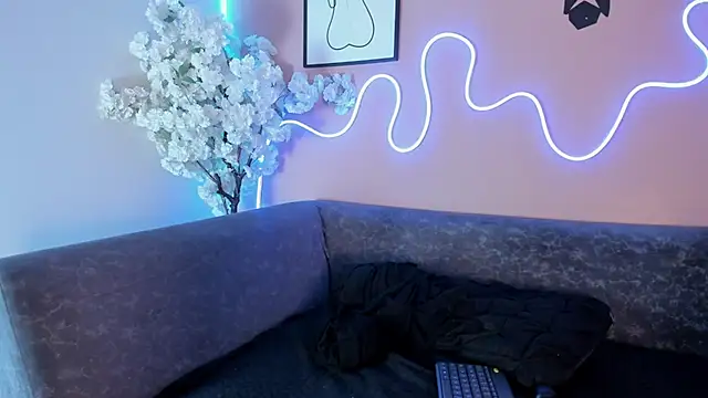 karo_linee1 webcam