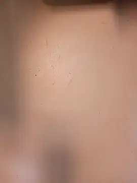 DaisyHarperr webcam