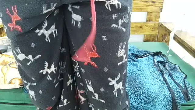 pinkycat webcam
