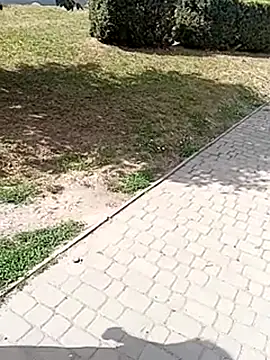 BiketravelChat webcam
