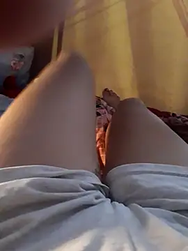 -Tara-a webcam