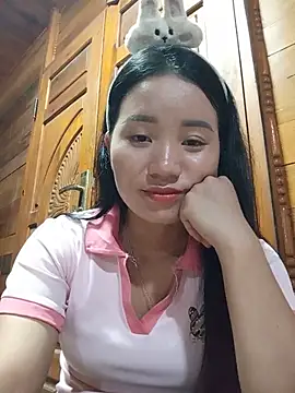 Td3di webcam