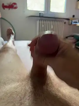 Geiler_Koelner webcam
