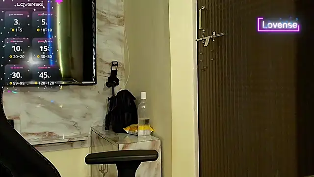 SilverShade3 webcam