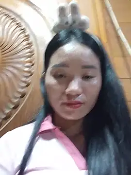 Td3di webcam