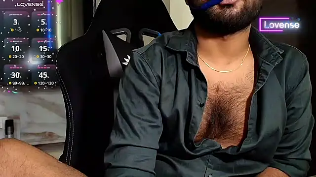 SilverShade3 webcam
