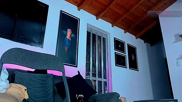 SilvaBranko webcam