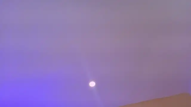 Nascary_Fox webcam