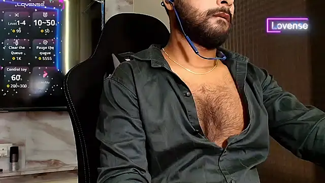 SilverShade3 webcam