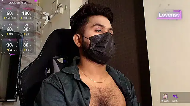SilverShade3 webcam
