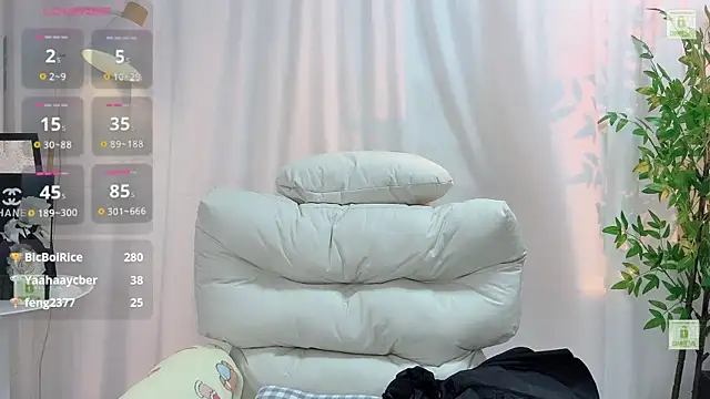 Yoyo_520 webcam