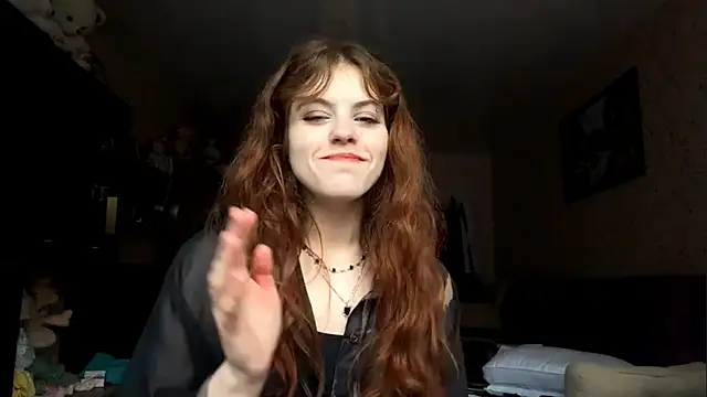 BuzzingRaid webcam