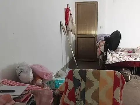 RebelAura webcam