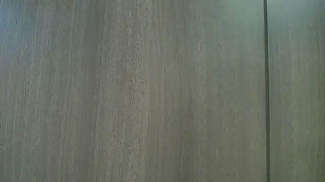 Lana_Sliim webcam