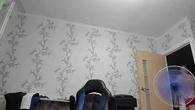 SanFrantsisko webcam