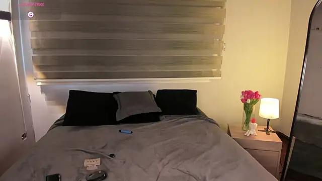 MERIDA_TAYLOR webcam