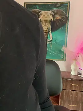 alisaa_jhons1 webcam