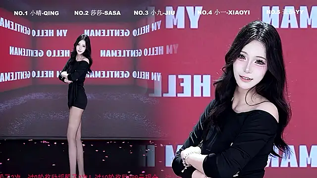 TY-002 webcam