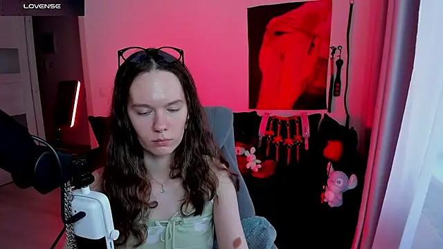 Vulgar_Tamer