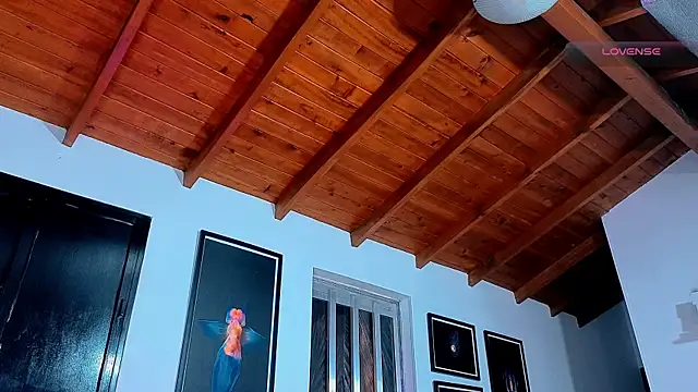 SilvaBranko webcam