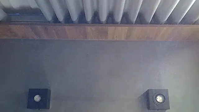 SkinnyKitten webcam