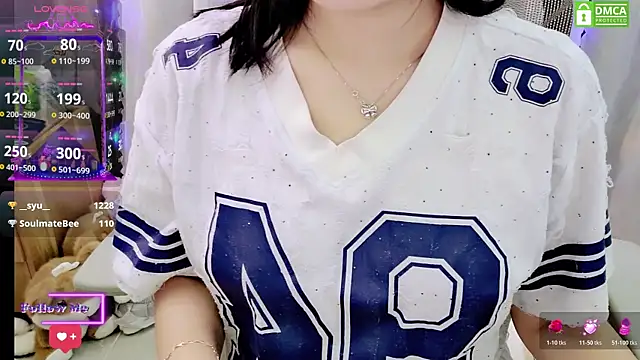 Dully_ana webcam