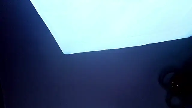 PerryKitty webcam