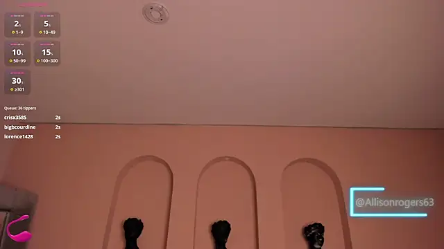 AllisonRogersX webcam