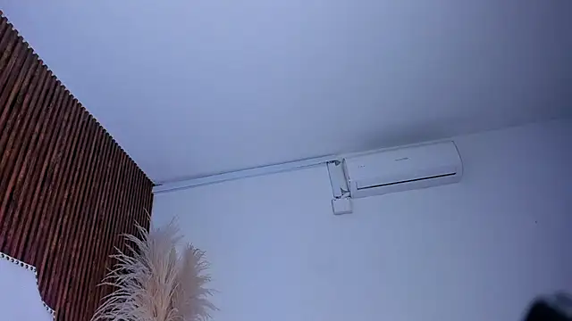 _Cherry_fox webcam
