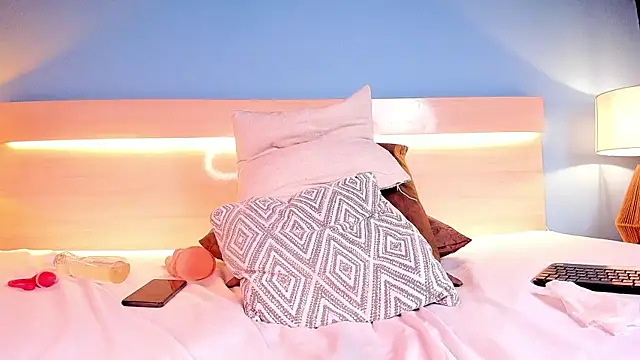 startwerk webcam