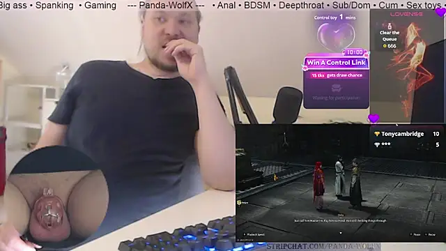 Panda-WolfX webcam