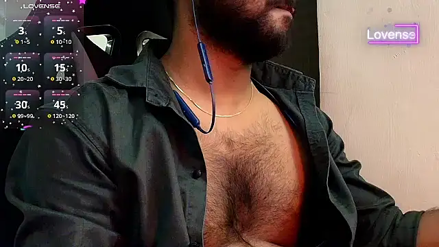SilverShade3 webcam