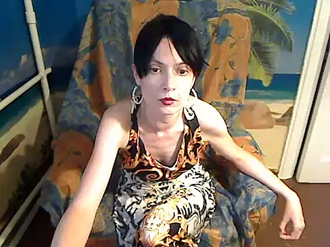 Bastet12 webcam