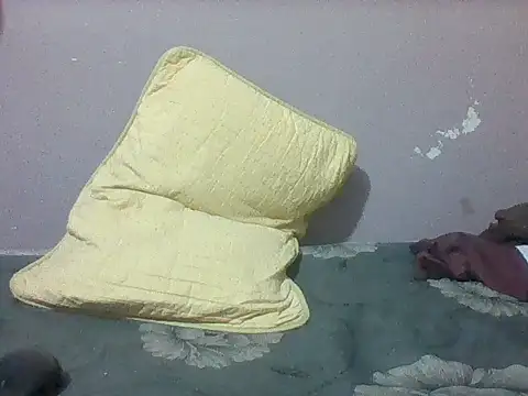 mislover webcam