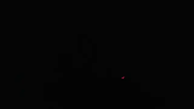 dalilasquirt1 webcam