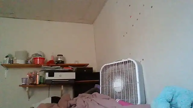 starlight1983 live cam on StripChat