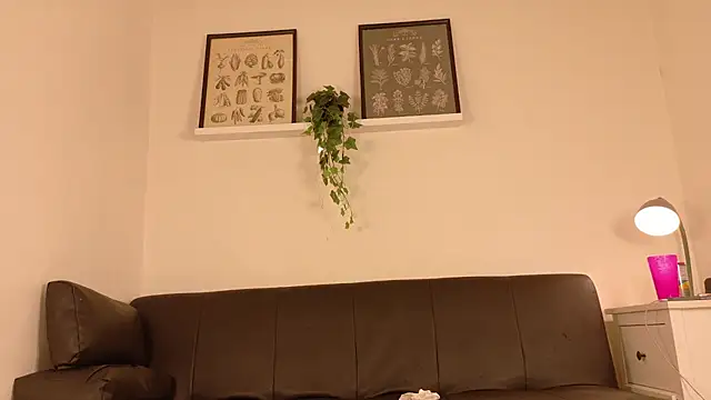eva_daemon webcam