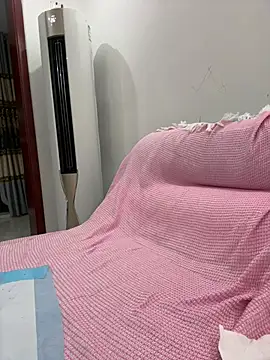haha-baobao webcam