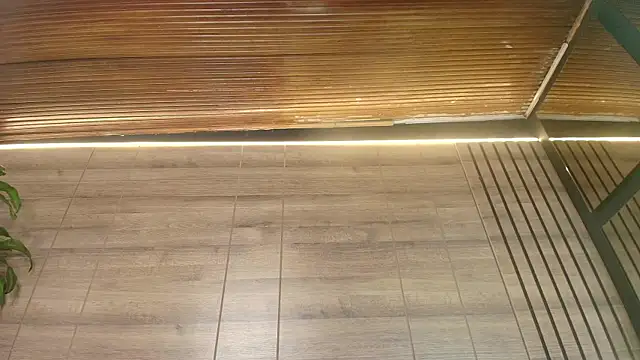 alys_molly_11 webcam