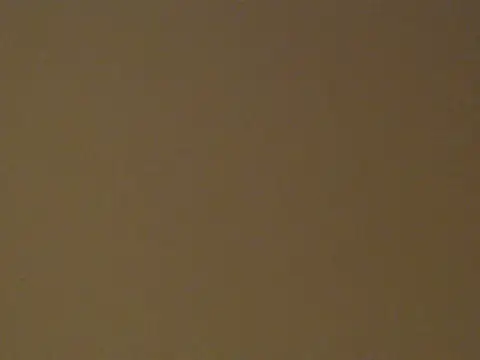 Lil_patoot webcam