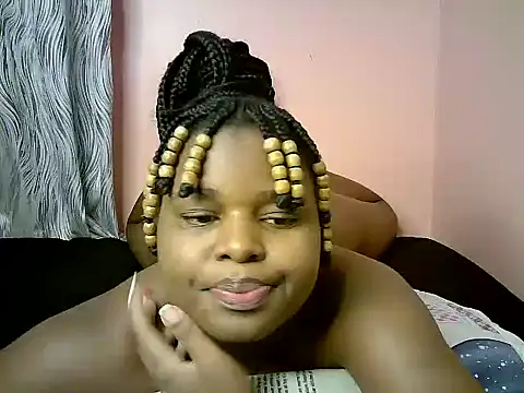 Holimnuy webcam
