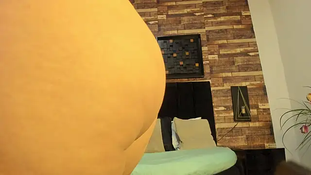 aurora__23 webcam