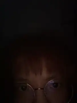 sgdAV webcam