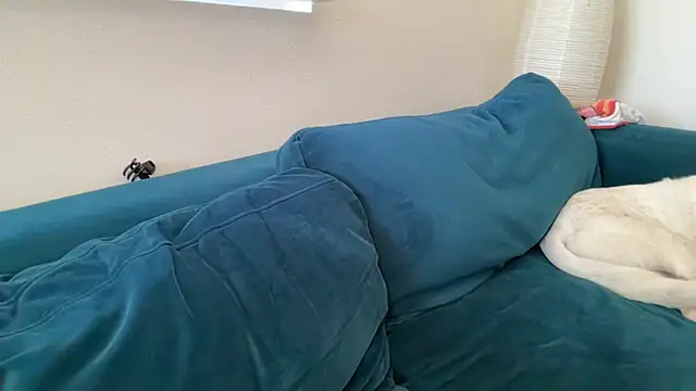 dreamyriri webcam
